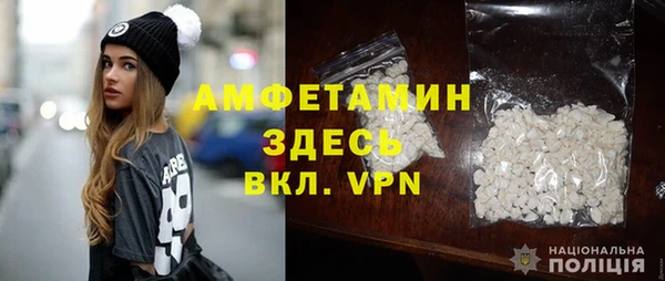 прущие грибы Россошь