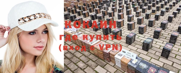 мяу мяу мука Белокуриха