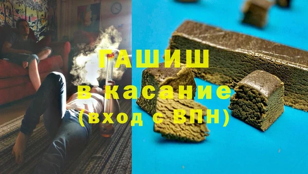 мяу мяу мука Белокуриха