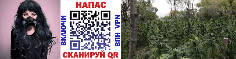 дарнет шоп  Волжск  Конопля AK-47 